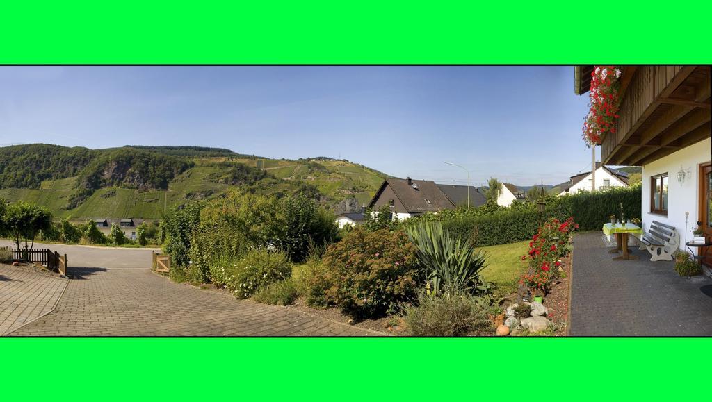 Weingut Hirschen Enkircherweg Burg  Bagian luar foto